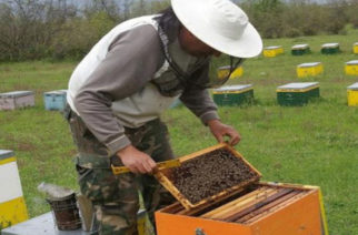 Μελισσοκόμος από… κούνια στην Αλεξανδρούπολη
