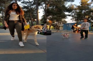 Μ’ επιτυχία τα 2α καλλιστεία σκύλων χθες στην Ορεστιάδα