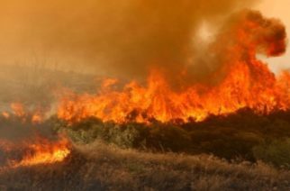 ΣΥΝΑΓΕΡΜΟΣ: Τεράστια φωτιά στο πευκοδάσος της Κίρκης απειλεί όλη την περιοχή