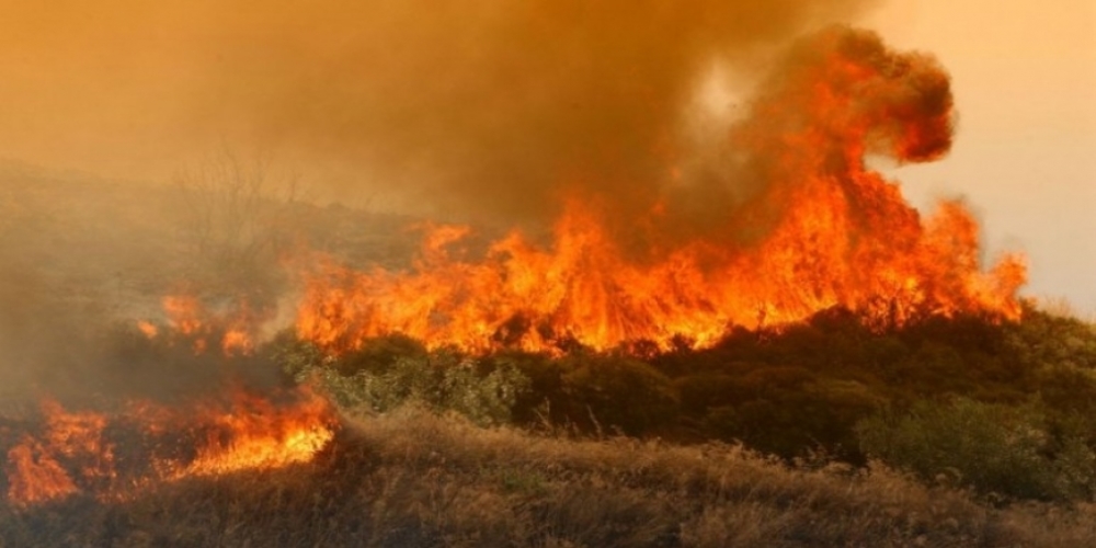 ΣΥΝΑΓΕΡΜΟΣ: Τεράστια φωτιά στο πευκοδάσος της Κίρκης απειλεί όλη την περιοχή