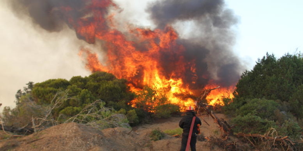 Περιοχές υψηλού κινδύνου για πυρκαγιές νότιος, κεντρικός Έβρος και Σαμοθράκη