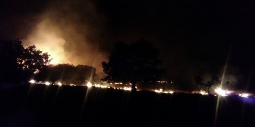 Πέτροβιτς-Γκότσης: Εμπρησμός οι φωτιές στην Πυλαία Φερών. Ξεκίνησαν ρίψεις δυο αεροπλάνα και ελικόπτερο(video+φωτό)