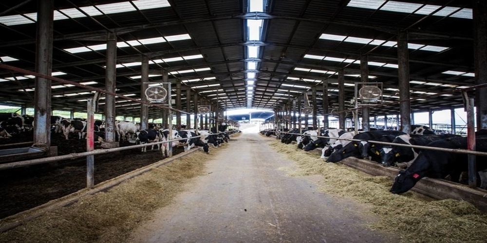 ΕΒΡΟΦΑΡΜΑ-CAMPUS: Η κορυφαία ευρωπαϊκή φάρμα αγελαδοτροφίας, συνδυάζει παράδοση και σύγχρονη τεχνογνωσία