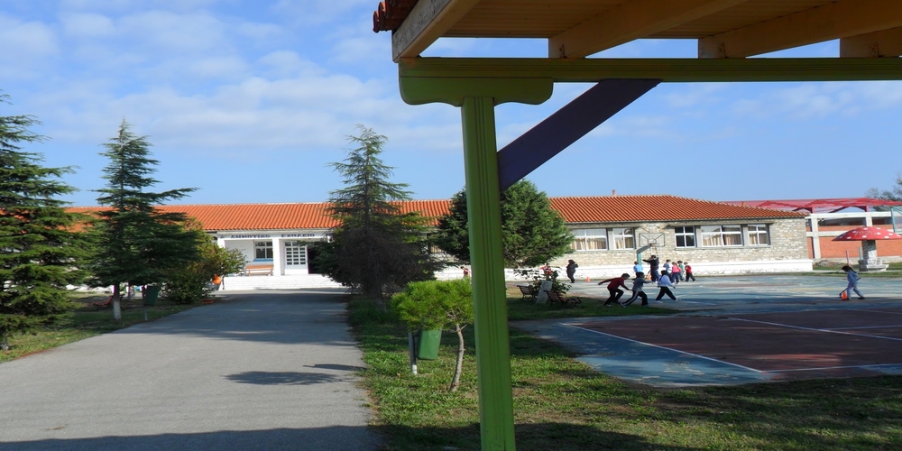 Η Κυβέρνηση ΣΥΡΙΖΑΝΕΛ τιμάει το “Έτος Καραθεοδωρή” αφήνοντας το Δημοτικό Σχολείο Ν.Βύσσας χωρίς δασκάλους