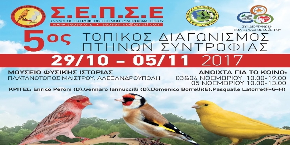 Αλεξανδρούπολη: Ξεκίνησε ο 5ος Διαγωνισμός Πτηνών Συντροφιάς στον Πλατανότοπο Μαίστρου