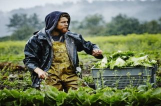 Δημοσχάκης: Στο περιθώριο οι νέοι αγρότες της Περιφέρειας Αν. Μακεδονίας και Θράκης