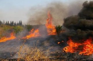 Αλεξανδρούπολη: Σοβαρός κίνδυνος λόγω ισχυρών ανέμων από μεγάλη φωτιά κοντά στο Νοσοκομείο