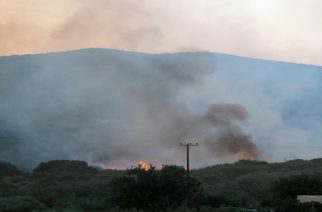 ΣΥΝΑΓΕΡΜΟΣ: Πυρκαγιά στη Μάκρη Αλεξανδρούπολης. Έρχονται πυροσβεστικά αεροπλάνα απ’ τη Θεσσαλονίκη