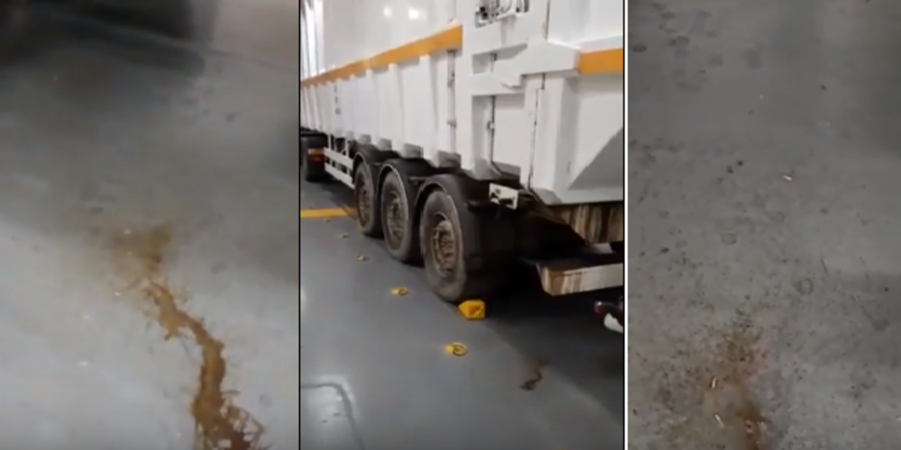 ΒΙΝΤΕΟ: Σκουλίκια και ακαθαρσίες στη μεταφορά των σκουπιδιών. Κάποιοι επιμένουν να ταξιδεύουν και επιβάτες μαζί