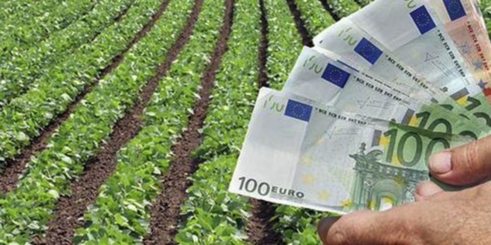 ΟΠΕΚΕΠΕ: Πληρώνει σήμερα την προκαταβολή της βασικής ενίσχυσης στους αγρότες