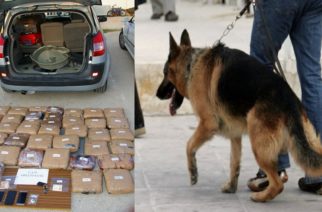 Καστανιές: Ο αστυνομικός σκύλος… μύρισε τα 60 κιλά ναρκωτικών που μετέφεραν δυο Έλληνες και συνελήφθησαν