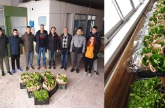Ορεστιάδα:  Βιολογικά λαχανικά  από το θερμοκήπιο του ΕΠΑΛ Ορεστιάδας στο Κοινωνικό Παντοπωλείο του δήμου