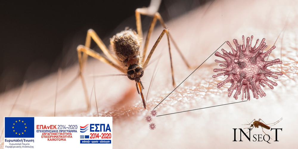 Ανάπτυξη νέων τεχνολογιών ελέγχου και αντιμετώπισης των κουνουπιών από το Δημοκρίτειο Πανεπιστήμιο Θράκης