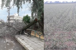 Μεγάλες ζημιές από μπουρίνι με χαλαζόπτωση στις περιοχές Πέπλου, Φερών και Σουφλίου (ΒΙΝΤΕΟ+φωτό)