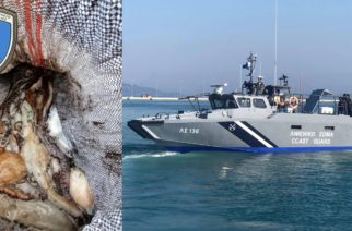 Αλεξανδρούπολη: Στα πλοκάμια του Λιμενικού αλιευτικό, που ψάρεψε παράνομα 135 κιλά… χταπόδια