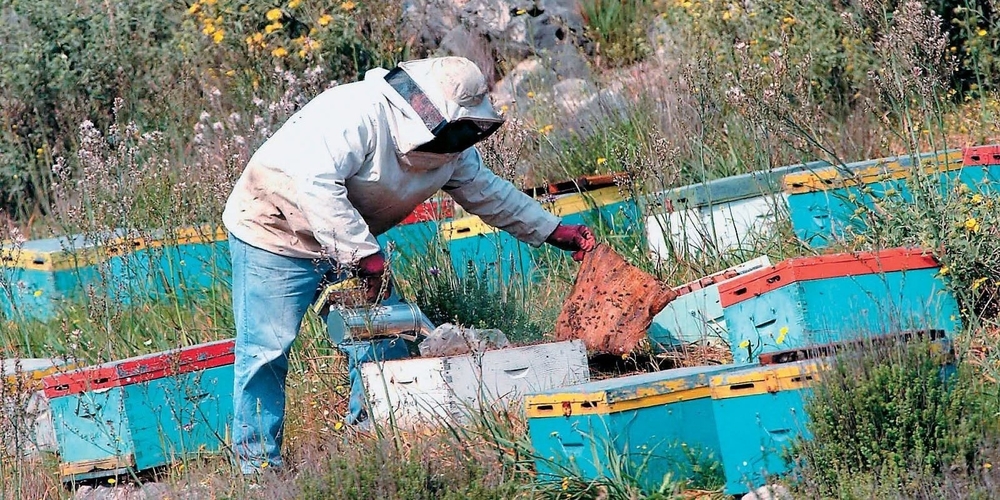ΘΡΗΝΟΣ στην περιοχή της Ορεστιάδας – Νεκρός 42χρονος από τσίμπημα μελισσών!!!
