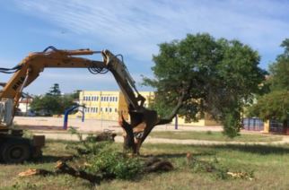 ΒΙΝΤΕΟ: Η απερχόμενη δημοτική αρχή Λαμπάκη, “εξαφάνισε” 4 δέντρα από το προαύλιο του 1ου Δημοτικού