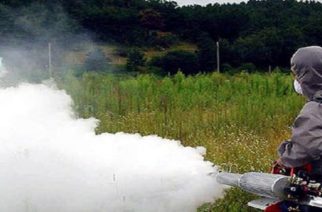 Έβρος: Επίγειος ψεκασμός καταπολέμησης των κουνουπιών απόψε σε Φέρες, Πόρο