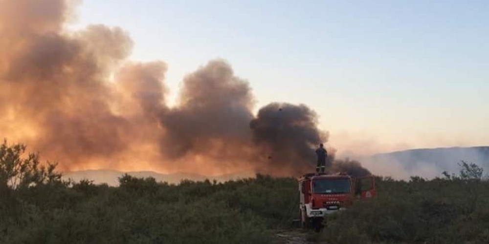 ΤΩΡΑ: Πυρκαγιά στον Πέπλο απείλησε κτηνοτροφική μονάδα – Κινητοποίηση και “μάχη” της Πυροσβεστικής