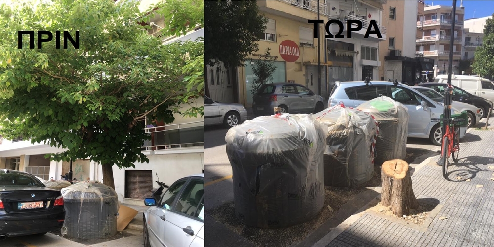 Αλεξανδρούπολη: Έκοψαν δέντρο 6 μέτρων, αφού πρώτα “φύτεψαν” από κάτω τους ημιϋπόγειους κάδους!!!
