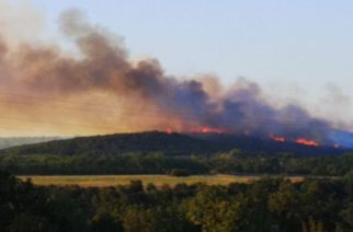 ΤΩΡΑ: Επικίνδυνη πυρκαγιά στην περιοχή Καβησού – Μεγάλη κινητοποίηση της Πυροσβεστικής