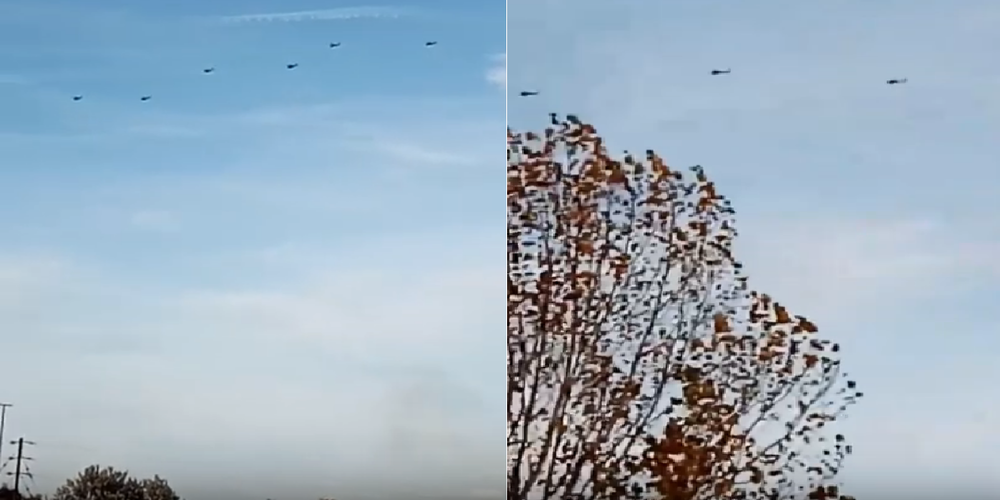 ΒΙΝΤΕΟ: Και αμερικανικά ελικόπτερα ήρθαν και πετούν στον Έβρο