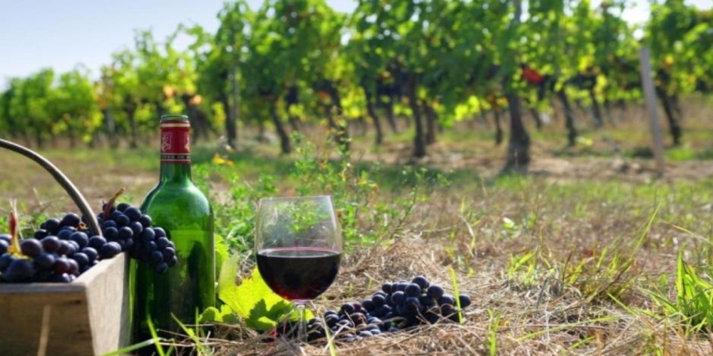 Σουφλί: «Σεμινάριο εκπαίδευσης αμπελουργών και οινοποιών για την βελτίωση της ποιότητας του παραγόμενου οίνου»