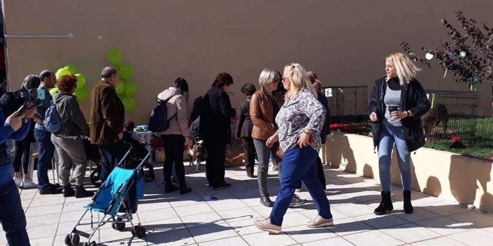 Αλεξανδρούπολη: Μεγάλη προσέλευση και συμμετοχή των πολιτών, στην 1η Γιορτή Υιοθεσίας Αδέσποτων Σκύλων (ΒΙΝΤΕΟ)