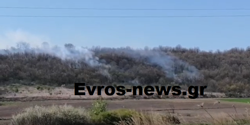 ΤΩΡΑ: Πυρκαγιά ξέσπασε στο δάσος του Ορμενίου Ορεστιάδας