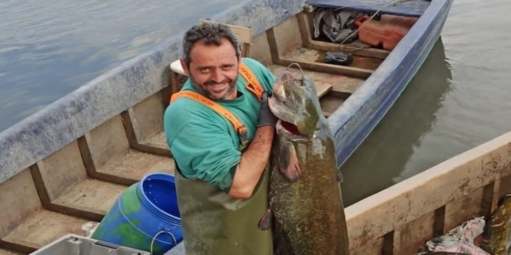 Φέρες: Τεράστιο γουλιανό 22 κιλών, ψάρεψε χθες επαγγελματίας ψαράς στο Δέλτα Έβρου