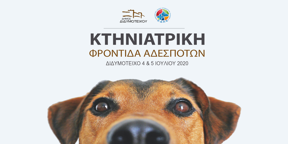 Διδυμότειχο: Κτηνιατρική φροντίδα στα αδέσποτα του Δήμου, με την εθελοντική δράση των Κτηνιάτρων Ελλάδος