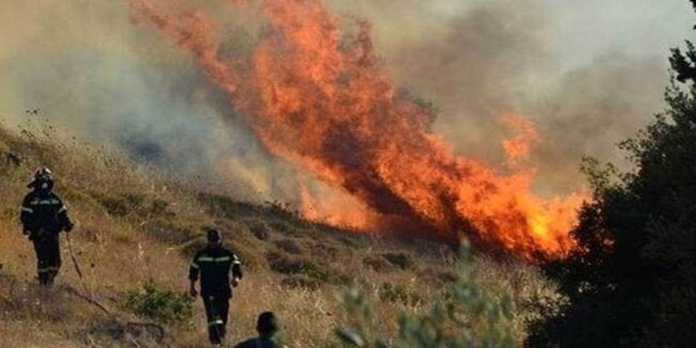 Συναγερμός από πυρκαγιά στην Πυροσβεστική στα όρια Έβρου-Ροδόπης, σε δάσος στις Σάπες