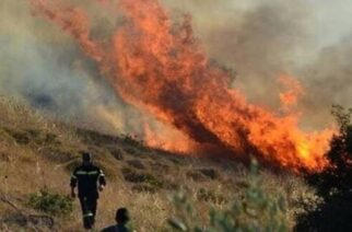 Έβρος: Επικίνδυνη πυρκαγιά στη θέση “Τρεις Βρύσες” μεταξύ Αλεξανδρούπολης-Σουφλίου – Επιχειρούν ελικόπτερο και πυροσβέστες