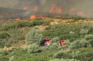 Ορεστάδα: Φωτιά ΤΩΡΑ στο Σπήλαιο Τριγώνου σε δασική έκταση