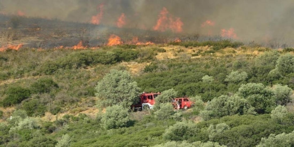 Ορεστάδα: Φωτιά ΤΩΡΑ στο Σπήλαιο Τριγώνου σε δασική έκταση