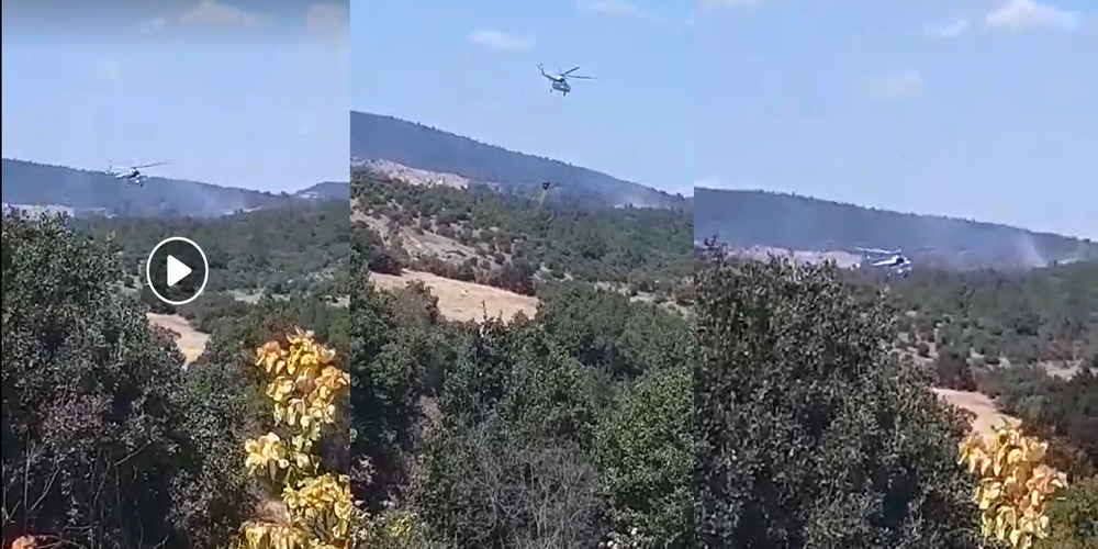 Σουφλί: Πυρκαγιά στην περιοχή Λευκίμμης – Μεγάλη κινητοποίηση Πυροσβεστικής με αεροπλάνα, ελικόπτερο (ΒΙΝΤΕΟ)