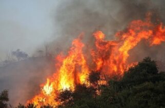 Αλεξανδρούπολη: Πυρκαγιά τώρα στο χωριό Αισύμη – Ελικόπτερο και πυροσβεστικές δυνάμεις επιτόπου