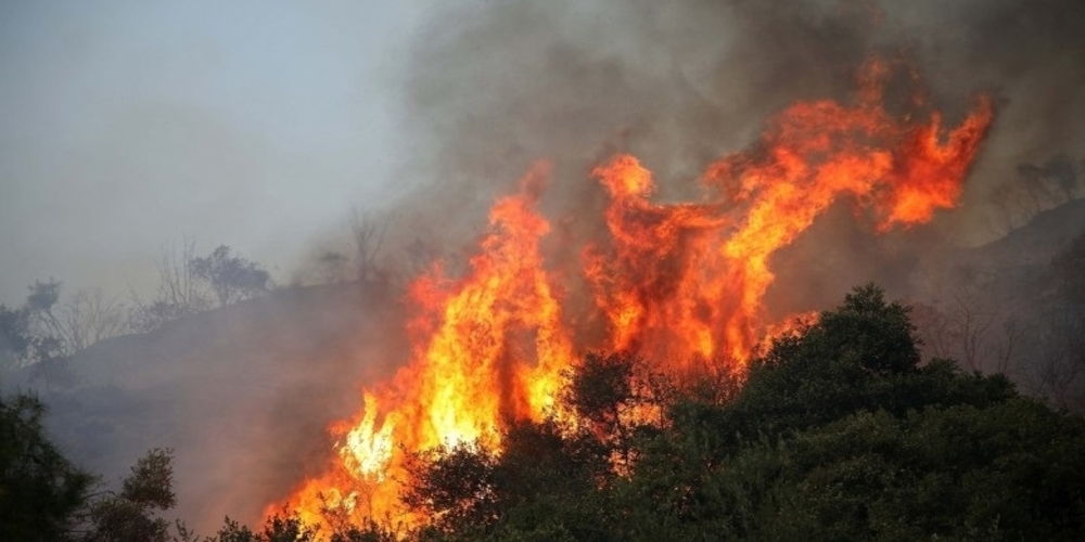 Αλεξανδρούπολη: Πυρκαγιά τώρα στο χωριό Αισύμη – Ελικόπτερο και πυροσβεστικές δυνάμεις επιτόπου