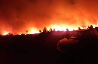 ΒΙΝΤΕΟ: “Μάχη” με τις φλόγες για να μην πλησιάσουν στο χωριό Νίψα