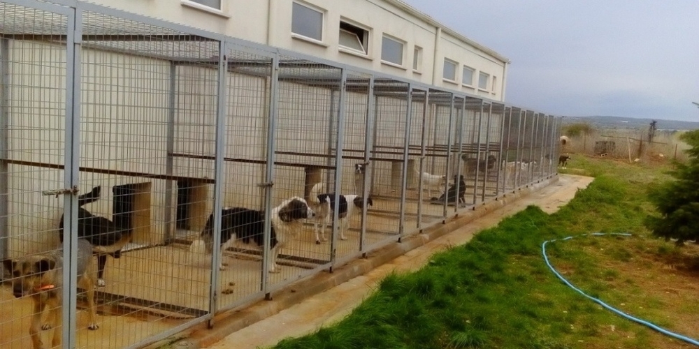Διδυμότειχο: Χρηματοδότηση για ανέγερση καταφύγιου αδέσποτων ζώων στον δήμο απ’ το υπουργείο Εσωτερικών