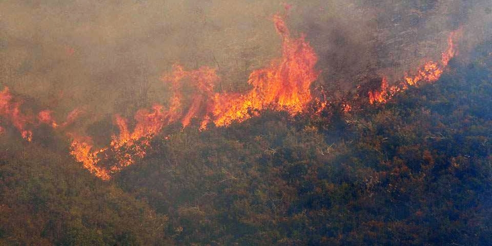 ΤΩΡΑ: Μεγάλη φωτιά στην Λευκίμμη Σουφλίου – Συναγερμός στην Πυροσβεστική