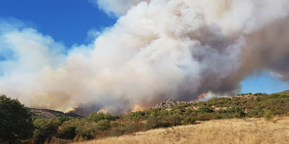 Εξαιρετικά δύσκολη η κατάσταση στην πυρκαγιά της Λευκίμμης – “Μάχη” με τις φλόγες γύρω απ’ το χωριό (ΒΙΝΤΕΟ)