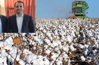 Δερμεντζόπουλος σε Βορίδη: Να μειωθεί το ελάχιστο πλαφόν στις βαμβακοκαλλιέργειες λόγω ανομβρίας στον Έβρο