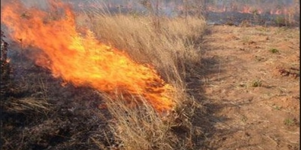 ΤΩΡΑ: Πυρκαγιά δίπλα στο χωριό Γεμιστή Φερών – Επιτόπου Πυροσβεστικές δυνάμεις