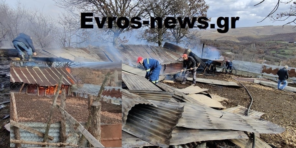 Σουφλί: Πυρκαγιά κατέστρεψε ολοσχερώς ποιμνιοστάσιο στο χωριό Σιδηρώ (ΒΙΝΤΕΟ+φωτό)