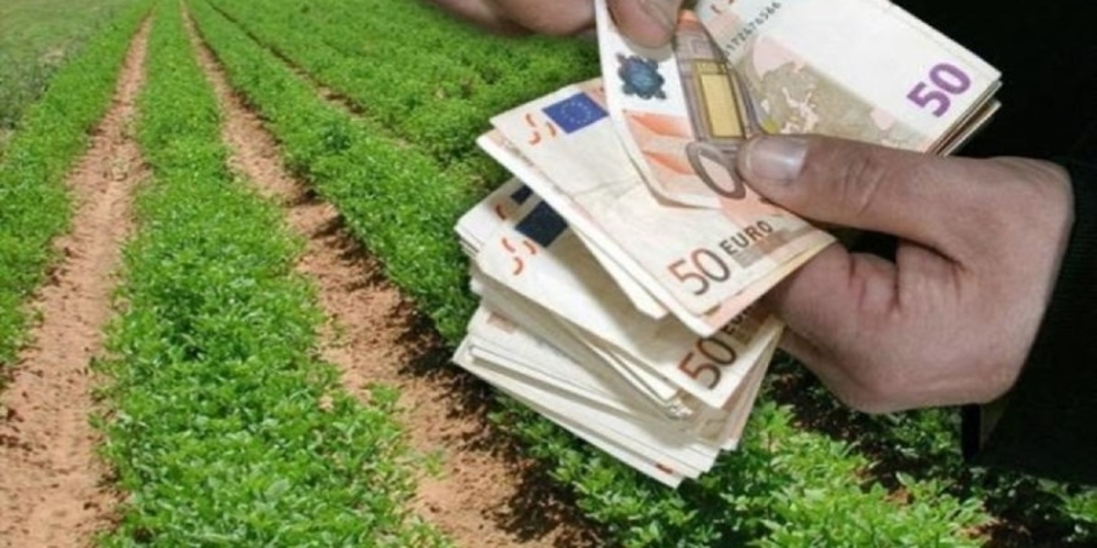 Αγροτικός Συνεταιρισμός Δημητριακών Ορεστιάδας “Η ΕΝΩΣΗ”: Ανακοίνωση για επιστροφή ΦΠΑ στους αγρότες