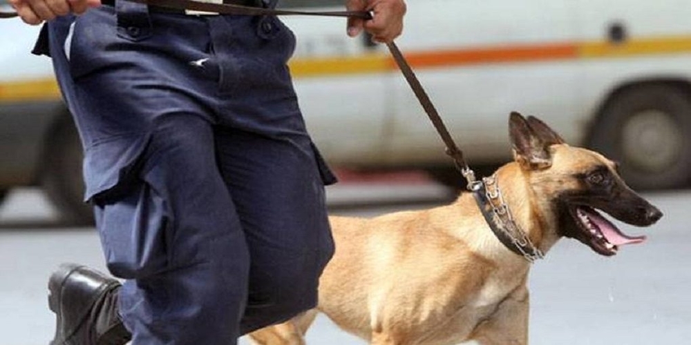 Αλεξανδρούπολη: Ο αστυνομικός σκύλος… μύρισε τα ναρκωτικά που είχαν πάνω τους και συνελήφθησαν
