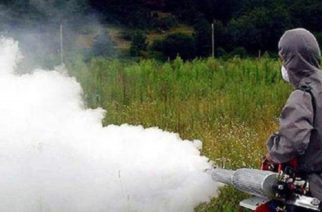 Το πρόγραμμα κίνησης των συνεργείων για καταπολέμηση των κουνουπιών σε όλο τον Έβρο