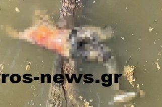 Πτώμα άγνωστου άνδρα βρέθηκε σήμερα το πρωί στον ποταμό Έβρο, από στρατιωτική περίπολο