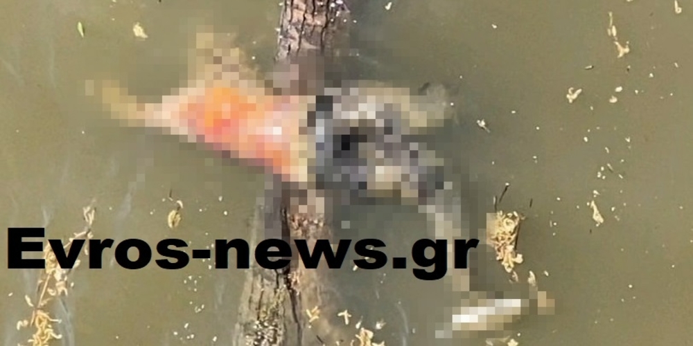 Πτώμα άγνωστου άνδρα βρέθηκε σήμερα το πρωί στον ποταμό Έβρο, από στρατιωτική περίπολο